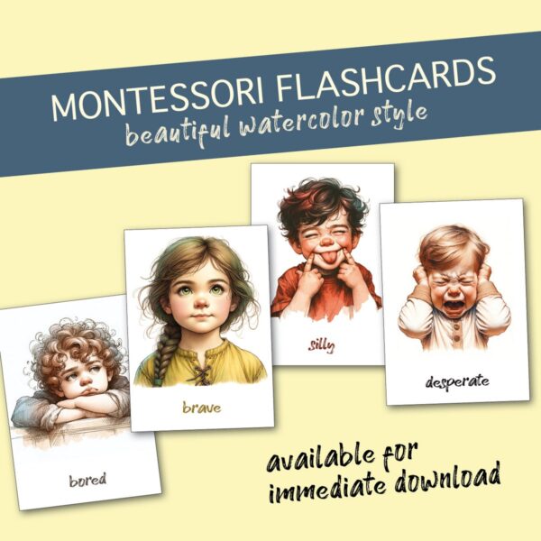 montessori learning cards set